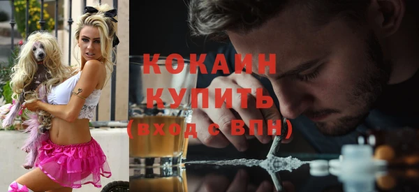 гидропоника Инта