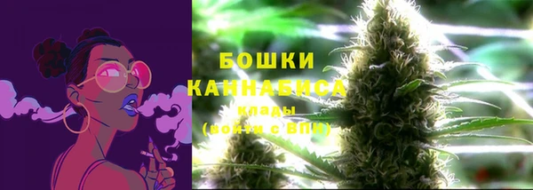 гидропоника Инта