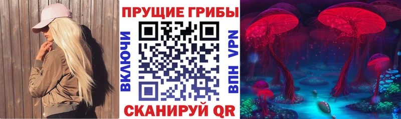 Псилоцибиновые грибы ЛСД  даркнет сайт  Заречный 