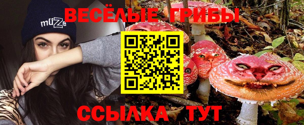 Псилоцибиновые грибы ЛСД  Вход с VPN  Заречный 