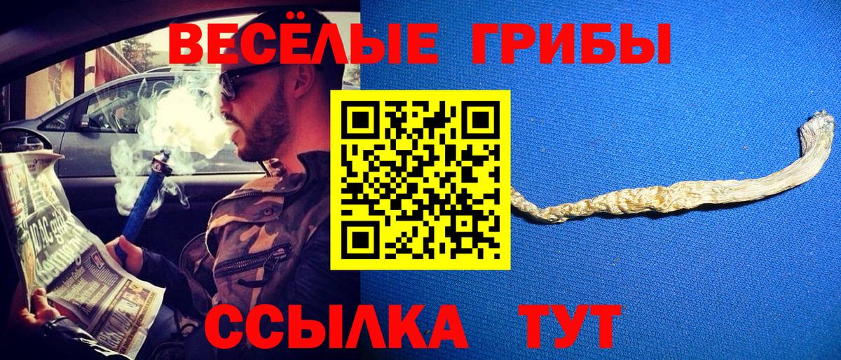 Галлюциногенные грибы GOLDEN TEACHER Заречный